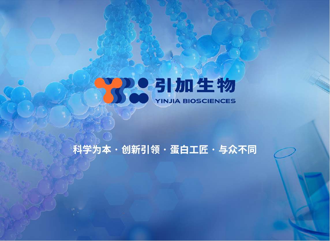 生物素（Biotin）快速偶联试剂盒