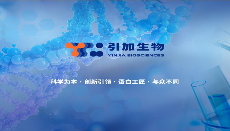 卵白脱糖混淆液I