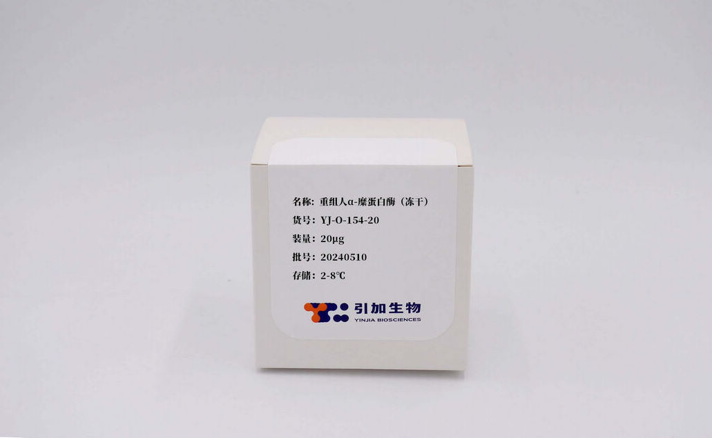 重组人α-糜卵白酶（冻干）