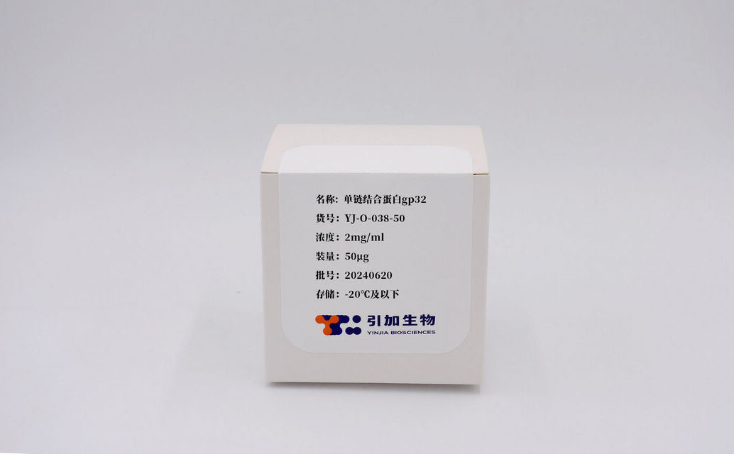 单链连系卵白gp32
