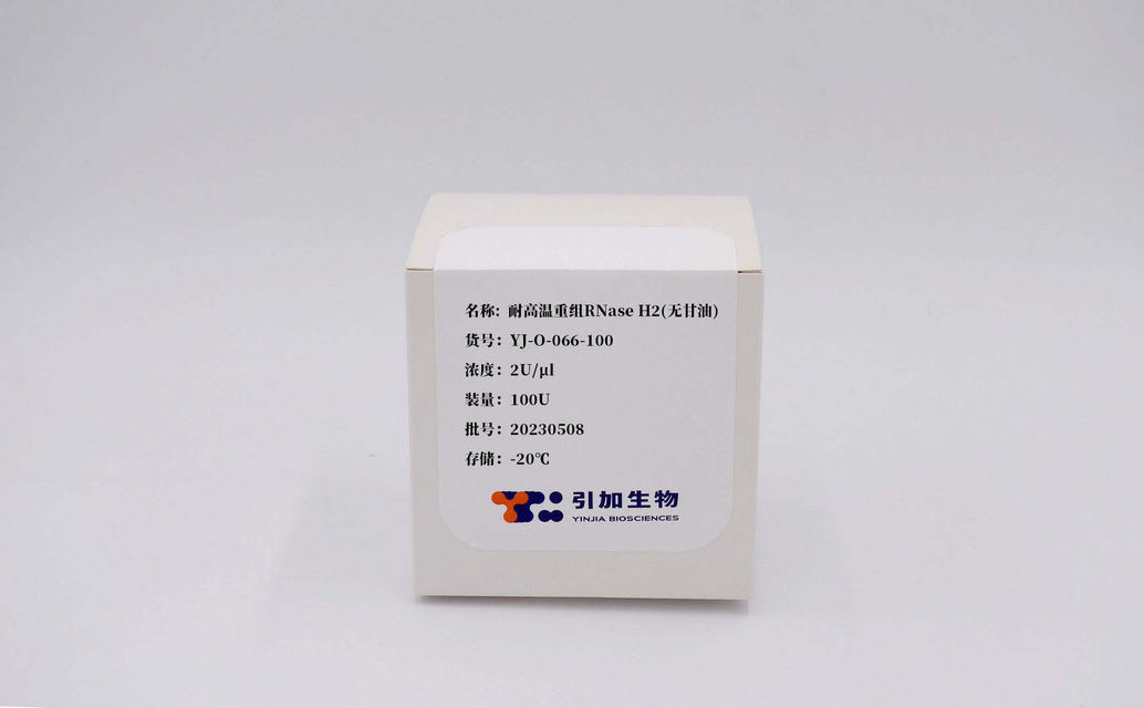 耐高温重组RNase H2（无甘油）