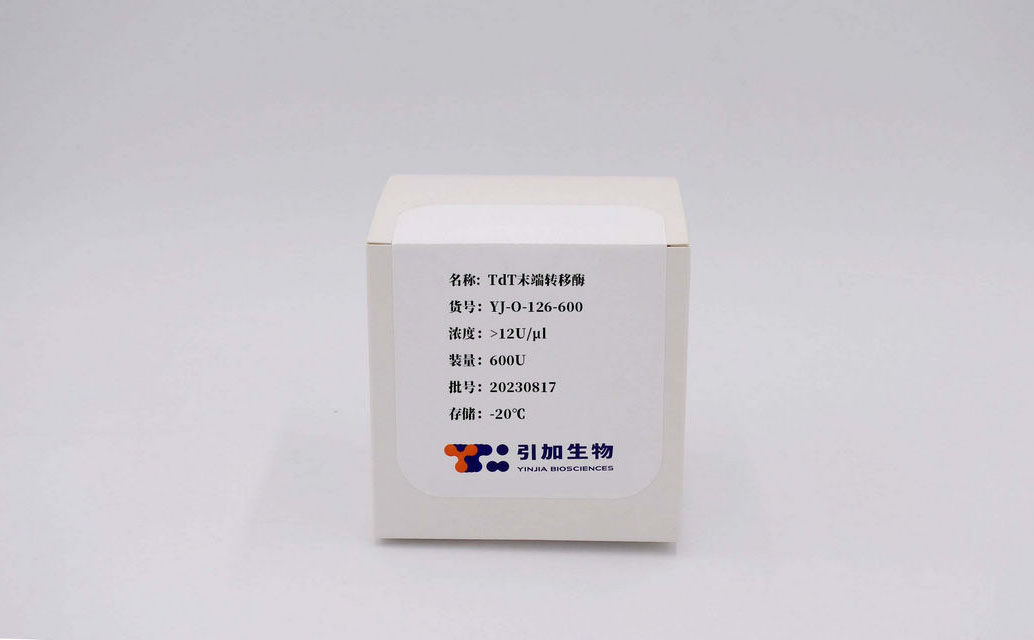 TdT最后转移酶