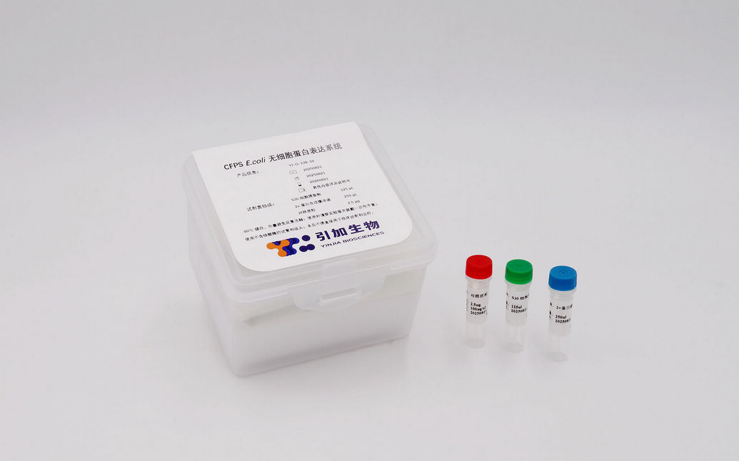 CFPS E.coli 无细胞卵白表达系统