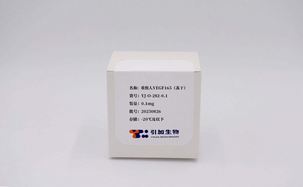 重组人VEGF165（冻干）